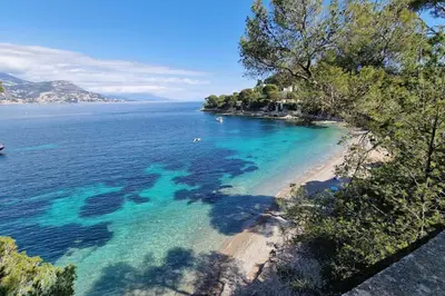 a view of a beach with blue water and trees at La Suite de Saint-Jean-Cap-Ferrat, vue mer et accès mer in Saint-Jean-Cap-Ferrat