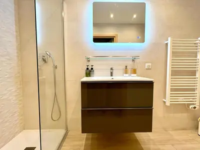 a bathroom with a sink and a mirror at Central Beautifull Delille Flat in Nice