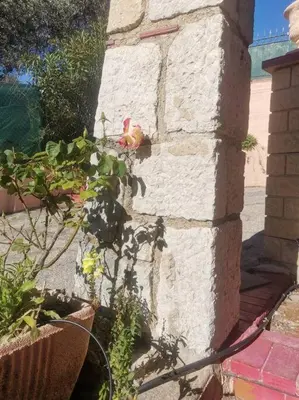 a white brick wall with a plant on it at Maison traditionnelle sur les collines Niçoises in Nice