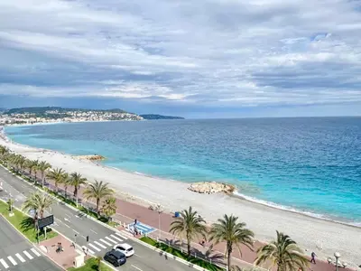 a view of a beach with palm trees and the ocean at SEA FRONT View Top Roof Flat in Nice