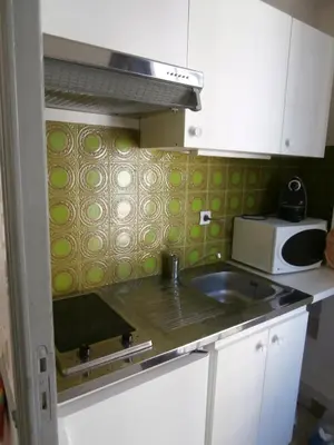 a small kitchen with a sink and a microwave at Studio Climatisé dans villa bourgeoise in Nice