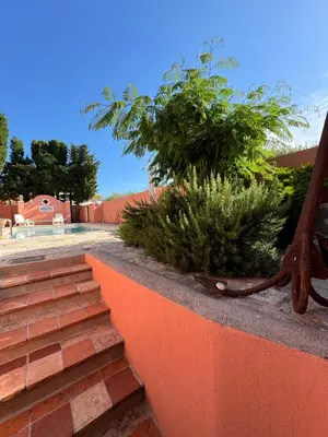 a set of brick steps with bushes and plants at Chambre d'hôtes A l'ancre marine de la Villa Rose in Nice