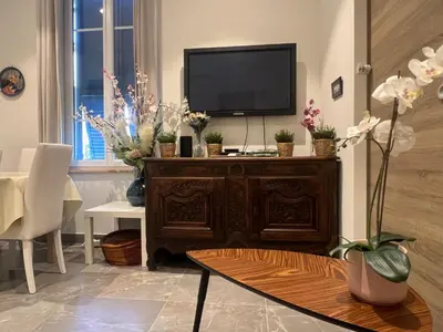 a living room with a tv on a cabinet with flowers at appartement nice in Nice