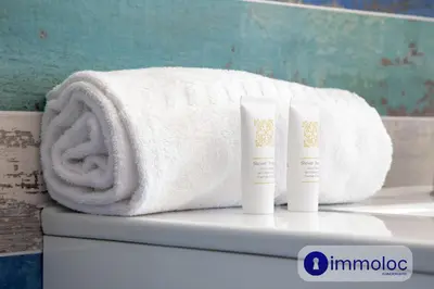 a towel and two products sitting on top of a toilet at Air-conditioned studio 5 minutes from the beach and shops in Cros-de-Cagnes