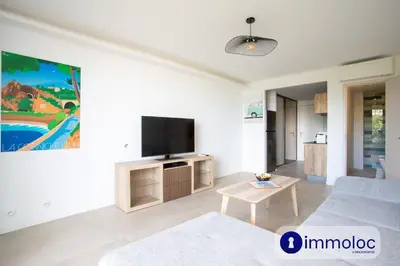 a living room with a couch and a flat screen tv at Air-conditioned studio 5 minutes from the beach and shops in Cros-de-Cagnes