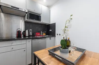 a kitchen with a table with a potted plant on it at 1 Bdr Large Terrace in Nice