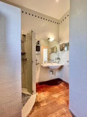 a bathroom with a shower and a sink and a mirror at Souvenir à jamais ! in Nice