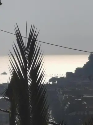 a palm tree with a view of a city at Double room with great view in Nice