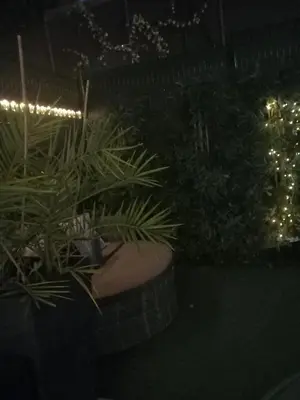 a garden at night with plants and lights at Chez Candie in La Trinité