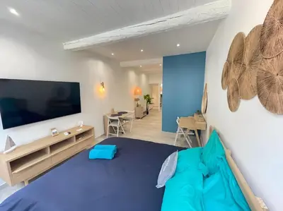 a living room with a large flat screen tv at Spacieux Loft Cœur Vieux Nice in Nice