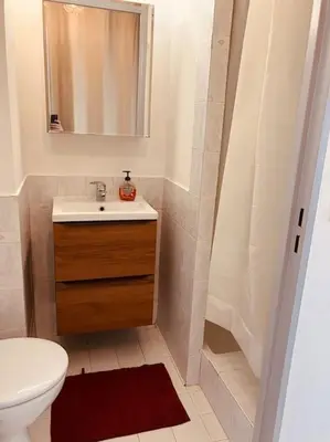 a bathroom with a toilet and a sink and a shower at Studio Nice proche plages / université in Nice