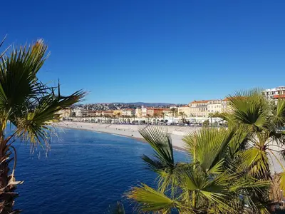 a view of a beach with palm trees at Chic & Spacious Getaway in Nice - 10min to Beach in Nice