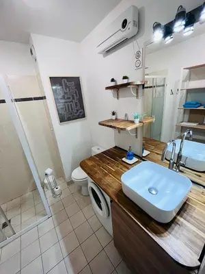 a bathroom with a sink and a toilet and a shower at Studio terrasse et parking privé in Nice