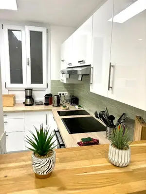a kitchen with white cabinets and a wooden table with two plants at Les chambres de Cédric ICONIC TRAM GARE Nice Ville pour personnes CALMES in Nice