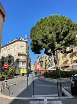 a tree in the middle of a city street at La Maison Hélène & Antoine Nice Le Port in Nice