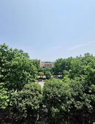an overhead view of a park with trees at Cagnes sur Mer-Spacieux 2 pièces in Cagnes-sur-Mer