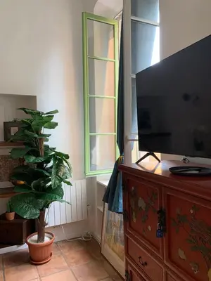 a living room with a flat screen tv and a plant at Apartment 33 on The Old Historic Senate Square in Nice