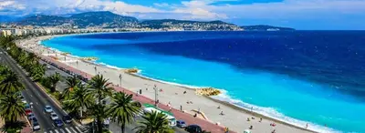 a view of a beach with palm trees and the ocean at Vue mer et montagne panoramique in Nice