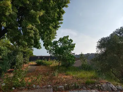 a view of a garden with trees and grass at Joli 3p - Bas de villa in Saint-Andre-de-la-Roche