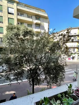a tree on the side of a street with a building at Studio 2 steps from the sea near the Negresco hotel in Nice