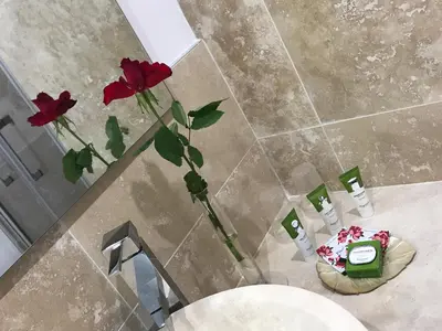 a vase with red flowers in a bathroom at Villa Kilauea B&B in Nice