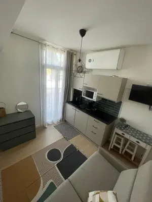a living room with a couch and a kitchen at Cosy studio en face de la gare in Nice