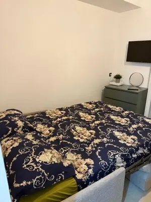 a bed with two pillows on it in a bedroom at Cosy studio en face de la gare in Nice