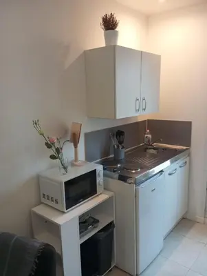 a small kitchen with a microwave and a stove at Studio de 14m2 dans une maison in Cagnes-sur-Mer