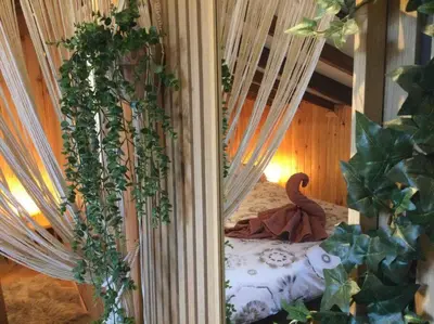 a bedroom with a bed with ivy growing around it at Studio de charme au coeur de la vieille ville in Nice