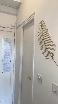 a room with a door with a feather on the wall at Studio NICE CENTRE sur Avenue Jean Medecin MER à 8 minutes de marche in Nice