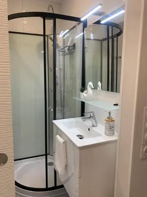 a bathroom with a shower and a white sink at L'îlot Bornala in Nice
