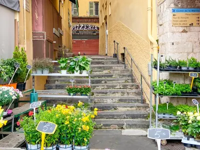 a set of stairs with potted plants on them at 26 nice Vieux Nice in Nice