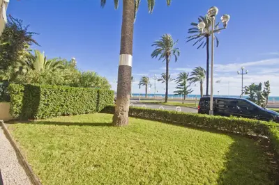 a palm tree in a park next to a street at Garden Floor Condo with Promenade Sea View in Nice