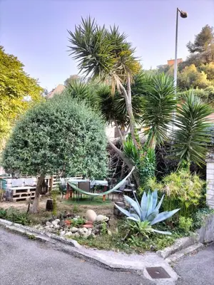 a garden with palm trees and a park with a bench at Villa Bellabé in Nice