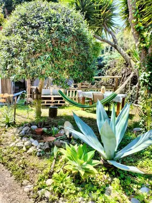 a garden with plants and a pond with a bench at Villa Bellabé in Nice