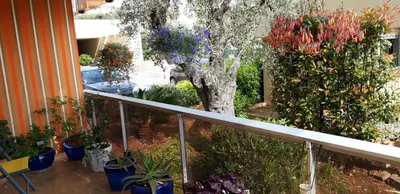a balcony with a bunch of potted plants and a tree at Chez Roland in Nice