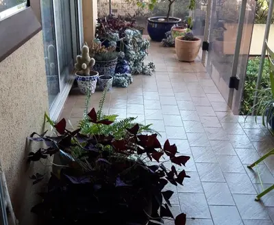 a walkway with potted plants on a patio at Chez Roland in Nice