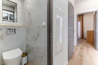 a bathroom with a toilet and a mirror at Les Grands Cèdres - Wifi, AC, Parking in Nice