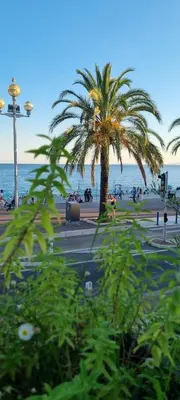 a beach with two palm trees and the ocean at Heart of Vieux Nice Beach & Saleya in Nice