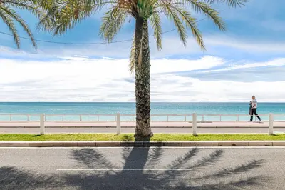 a palm tree and a woman walking by the ocean at Promenade des Anglais 2 Bdr Large Terrace in Nice