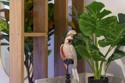 a parrot on a stand next to a plant at Nice Renting - FODERE - Charm & Comfort 2P Heart of Nice - AC & WiFi in Nice