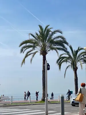 Gallery image of La Vague Douce in Nice