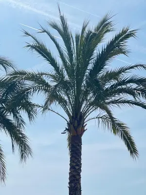 Gallery image of La Vague Douce in Nice