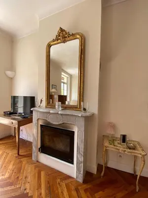 a living room with a fireplace and a mirror at PALMERAIE - Magnifique appartement d'époque avec Vue Mer 4 personnes avec terrasse Le Port Nice in Nice