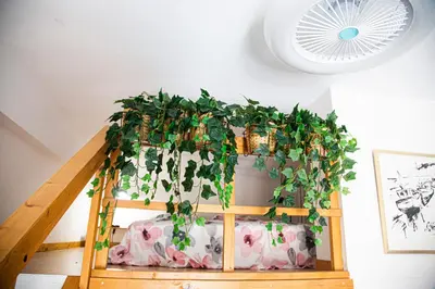 a room with a ladder with a plant on it at Grand T1 proche Promenade des Anglais in Nice