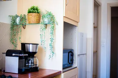a kitchen with a coffee maker and plants on a counter at Grand T1 proche Promenade des Anglais in Nice