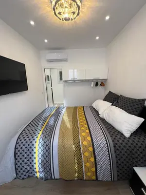 a bedroom with a large bed and a flat screen tv at Appartement T2 in Nice