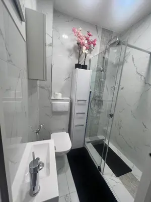 a bathroom with a shower and a toilet and a sink at Appartement T2 in Nice