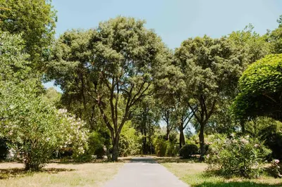 a path through a park with trees and flowers at Camping VAL FLEURI ATC Cagnes-Sur-Mer in Cagnes-sur-Mer