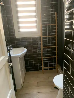 a bathroom with a sink and a toilet at Charmant Appartement à 5 minutes de la plage in Nice